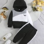 Black Panel Dinosaur Printed Kids Winter Suit (Each)