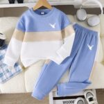 Sky Blue Panel Printed Kids Winter Suit (Each)